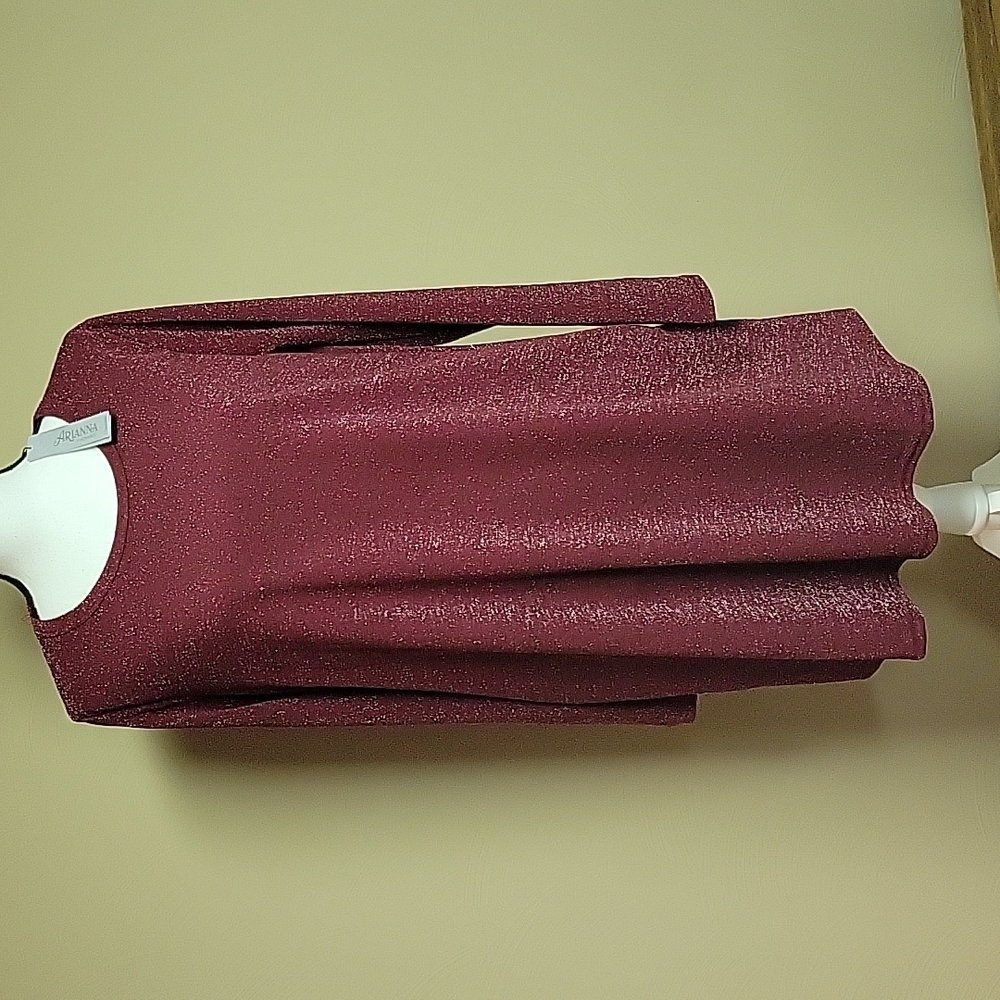 NWT Ruby tunic dress